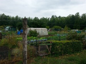 Community garden near Senlis, France