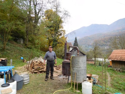 Jabuka (apple) rakija production in full swing